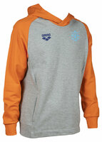 Arena OG Hoodie nederland XL