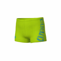 Arena B Graphic Swim Short artic-lime 8-9